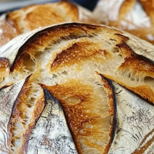 Noosa Sourdough