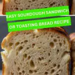 Easy Sourdough Sandwich