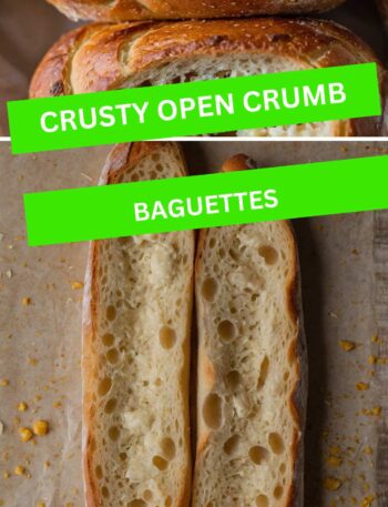 Crusty Open Crumb Baguettes